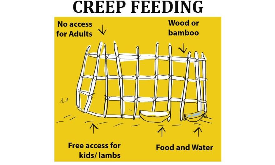 Extension module and factsheets for smallholder farmers and staff of